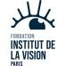Illustration de l'article : Fondation Institut de la Vision