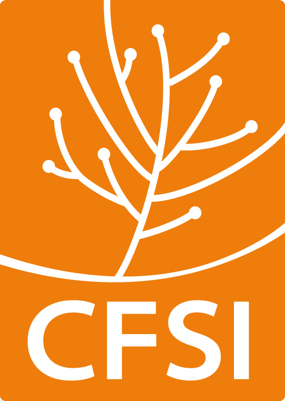 logo CFSI
