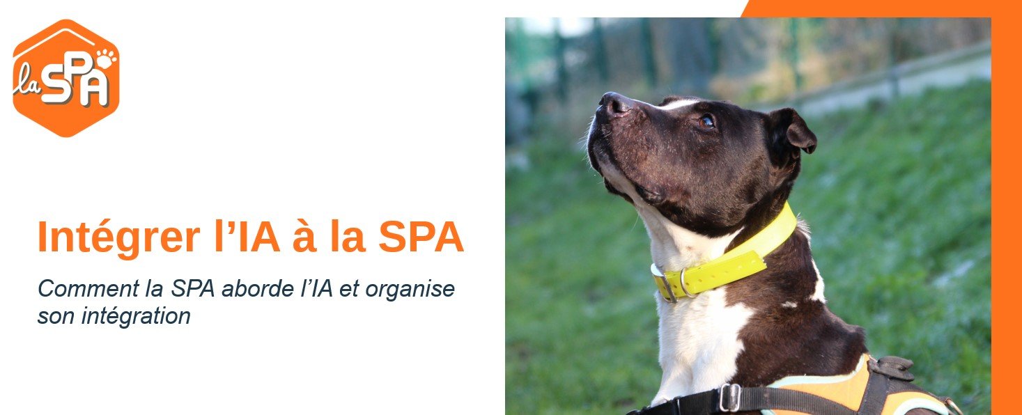 couverture Intervention SPA - matinée IA - juin 2026