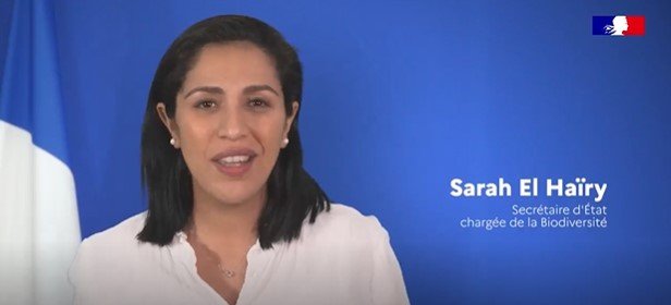 Illustration de l'article : Le jury du Défi’lanthrope 2024 de L’École de la philanthropie