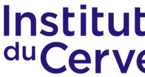 Institut du Cerveau