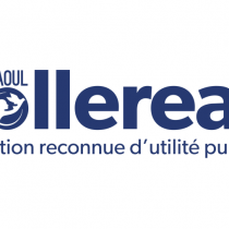 Responsable du service marketing (H/F) – CDI