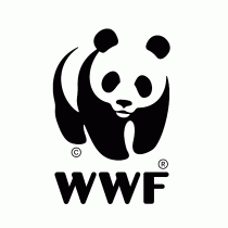 Responsable collecte digitale (F/H) – CDI