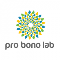 Panorama 2019 du Pro Bono