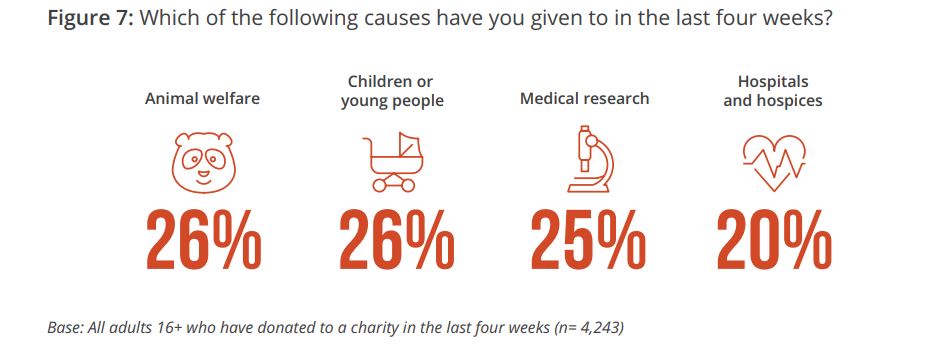 causes bis uk giving report 2019