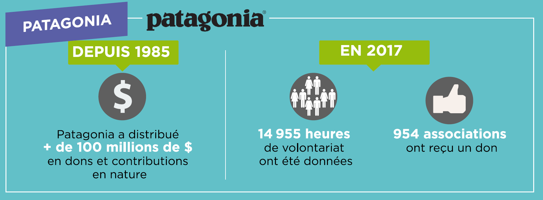 Exemple patagonia entreprise altruiste