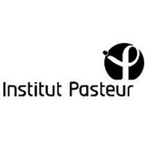 Responsable Collecte Grand Public (H/F)