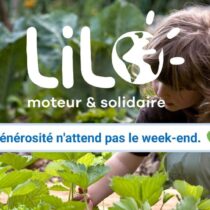 Moteur de recherche entreprise : nouvelle formule de Lilo