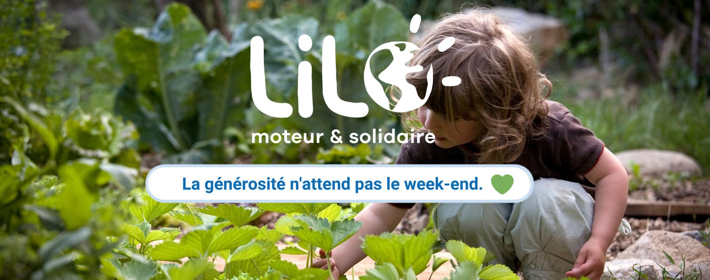 Moteur de recherche entreprise Lilo solidaire