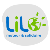 Webinaire – Collecter des dons via un moteur de recherche solidaire : rencontre avec Lilo