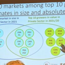 Global Fundraising Income 2021 – Etudes Indigo 2022