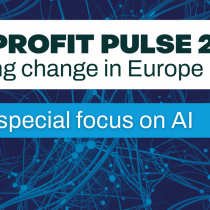 Nonprofit Pulse 2024 Report – EFA – avril 2024