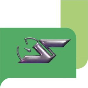 webinaire speedons